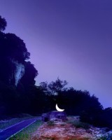 藏品(庇護所)的圖片